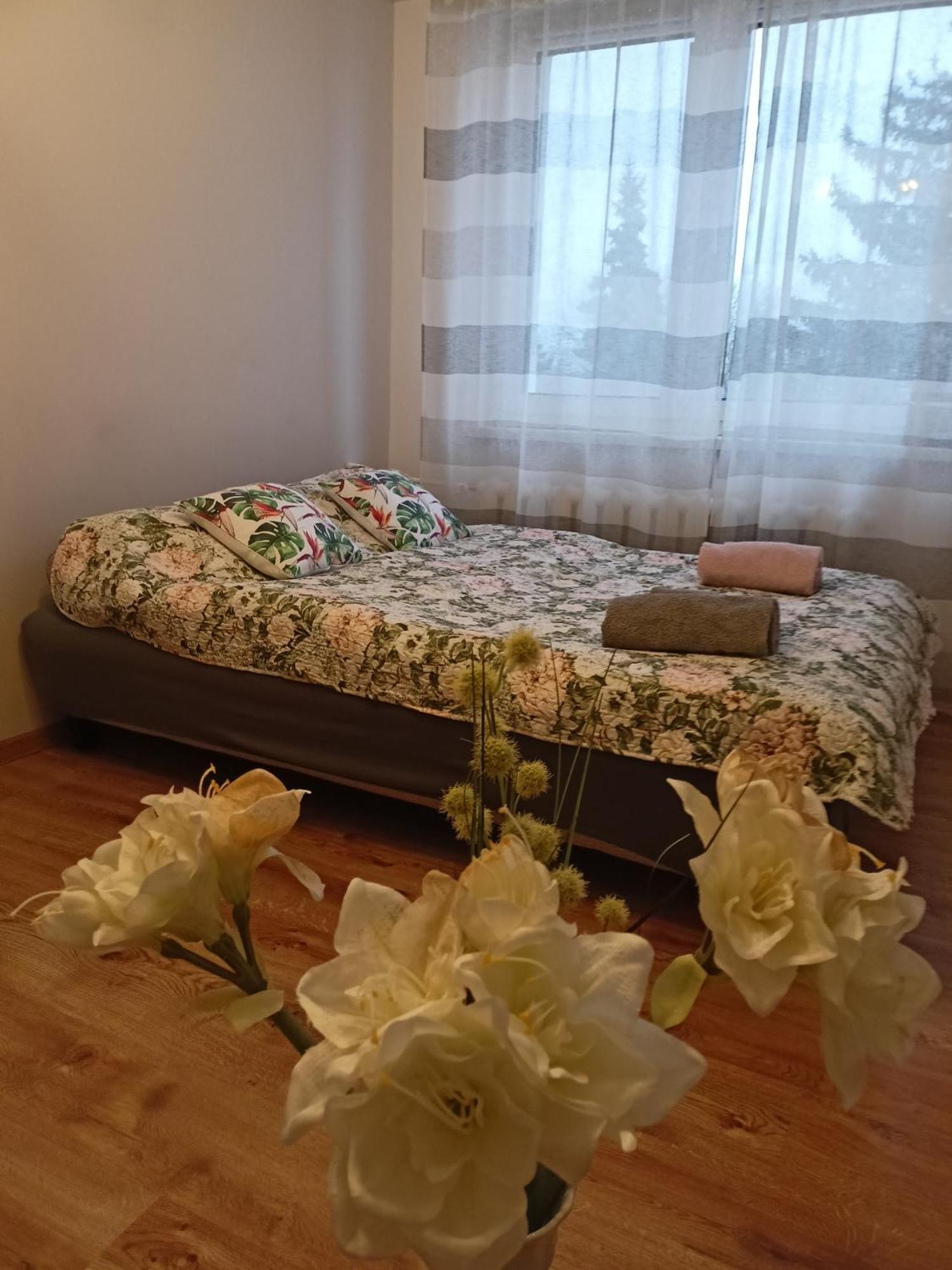 Apartament Guner Bełchatów Eksteriør bilde